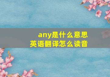 any是什么意思英语翻译怎么读音