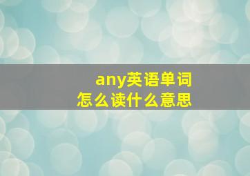 any英语单词怎么读什么意思