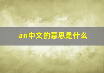 an中文的意思是什么