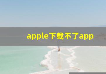 apple下载不了app