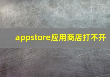 appstore应用商店打不开