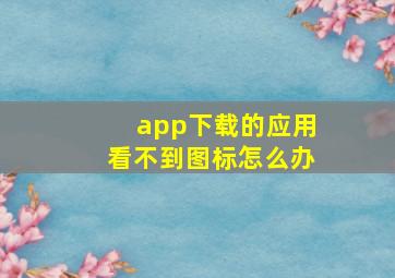 app下载的应用看不到图标怎么办