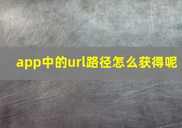 app中的url路径怎么获得呢