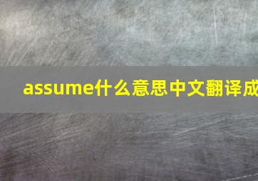 assume什么意思中文翻译成