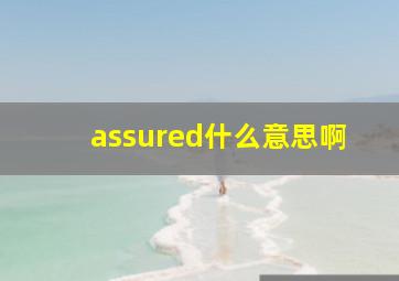 assured什么意思啊