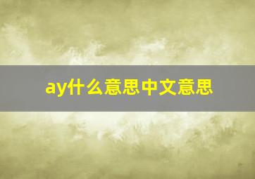 ay什么意思中文意思