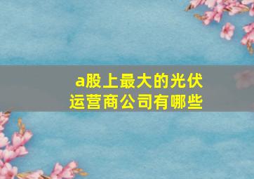 a股上最大的光伏运营商公司有哪些