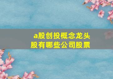 a股创投概念龙头股有哪些公司股票