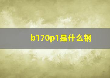 b170p1是什么钢