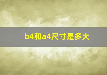 b4和a4尺寸是多大