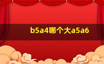 b5a4哪个大a5a6