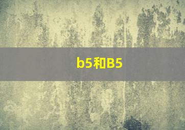 b5和B5