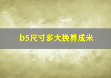 b5尺寸多大换算成米