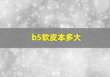 b5软皮本多大