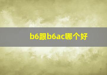 b6跟b6ac哪个好