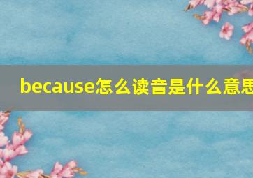 because怎么读音是什么意思