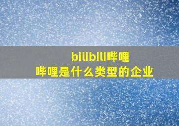 bilibili哔哩哔哩是什么类型的企业