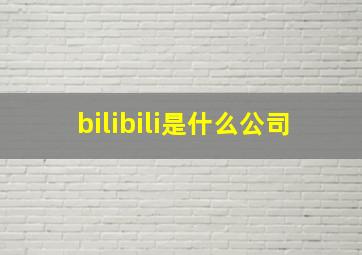 bilibili是什么公司