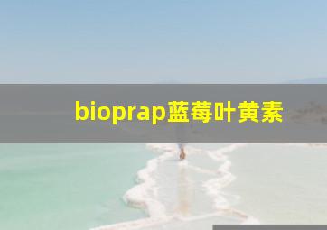 bioprap蓝莓叶黄素