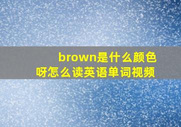 brown是什么颜色呀怎么读英语单词视频