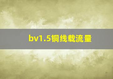 bv1.5铜线载流量