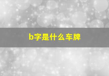 b字是什么车牌