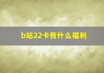 b站22卡有什么福利