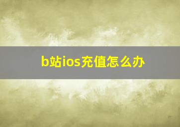 b站ios充值怎么办