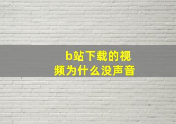 b站下载的视频为什么没声音