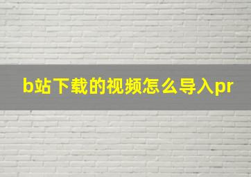 b站下载的视频怎么导入pr