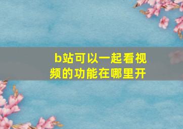 b站可以一起看视频的功能在哪里开