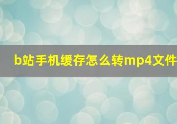 b站手机缓存怎么转mp4文件