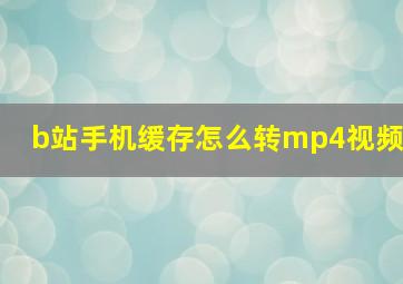 b站手机缓存怎么转mp4视频