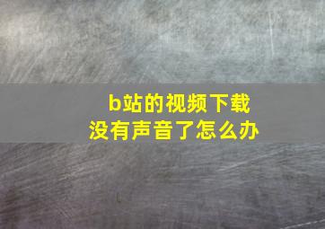 b站的视频下载没有声音了怎么办