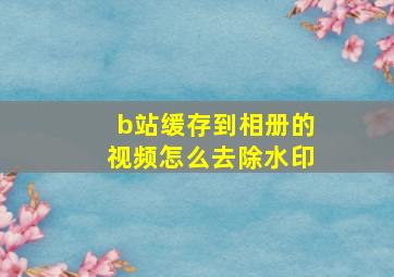 b站缓存到相册的视频怎么去除水印