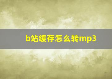 b站缓存怎么转mp3