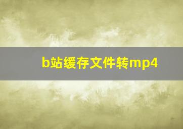 b站缓存文件转mp4