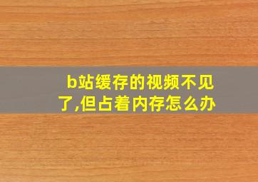 b站缓存的视频不见了,但占着内存怎么办