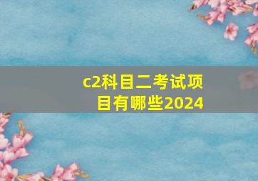 c2科目二考试项目有哪些2024