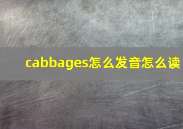 cabbages怎么发音怎么读