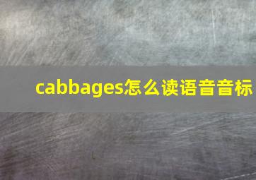 cabbages怎么读语音音标