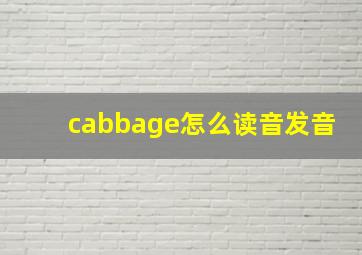 cabbage怎么读音发音