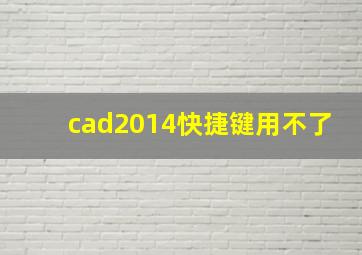 cad2014快捷键用不了