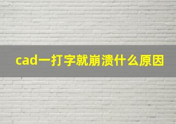 cad一打字就崩溃什么原因