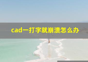 cad一打字就崩溃怎么办