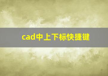 cad中上下标快捷键