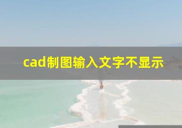 cad制图输入文字不显示