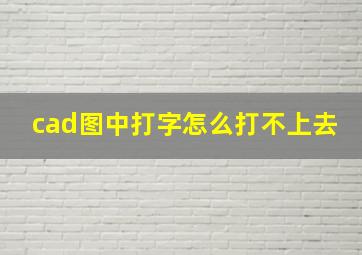 cad图中打字怎么打不上去