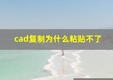 cad复制为什么粘贴不了