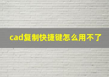 cad复制快捷键怎么用不了